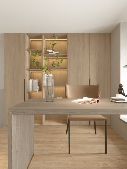 碧桂园半岛南湾东南亚书房效果图